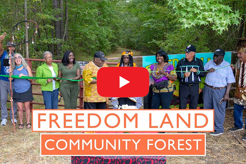 Freedom Land Community Forest